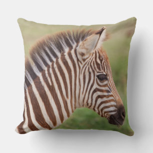 Baby-Zebrakopf, Tansania Kissen