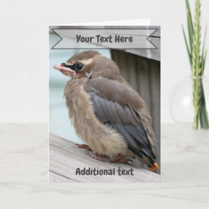 Baby-Zedernseidenschwanz-Vogel-Naturfoto Karte