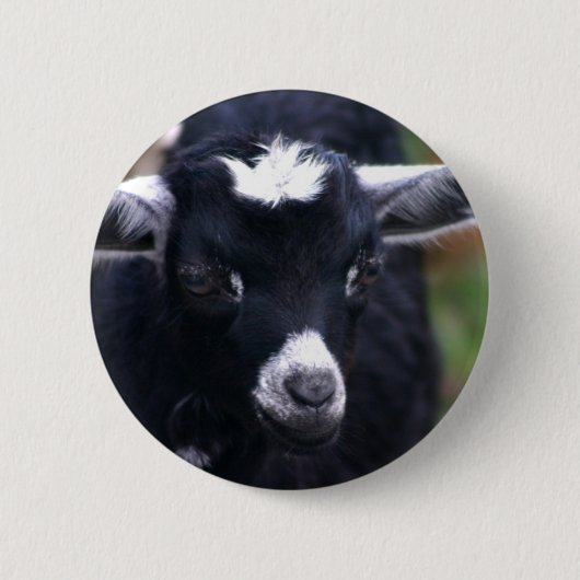 Baby-Ziege Button (Vorderseite)