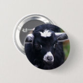 Baby-Ziege Button (Vorne & Hinten)