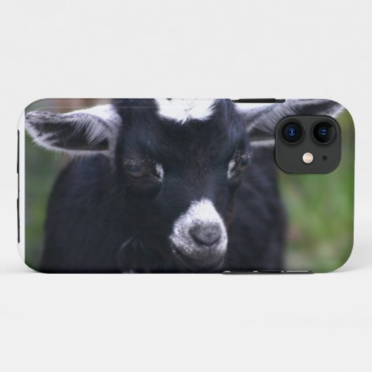 Baby-Ziege Case-Mate iPhone Hülle (Rückseite (Horizontal))