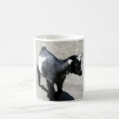 Baby-Ziege Kaffeetasse (Mittel)