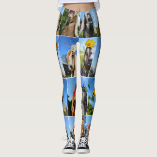 Baby-Ziegen-Leggings Leggings