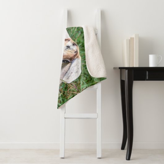 Baby-Ziegen Sherpadecke (Beispiel)