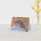 Baby-Zieltaube Notecard Karte (Gelbe Blume)
