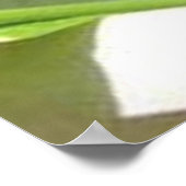 Baby Zucchini Pflanze im Vorgarten Poster (Ecke)