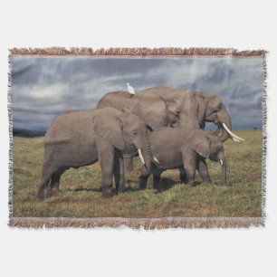 Babyafrikanischer Elefant mit Familie Decke