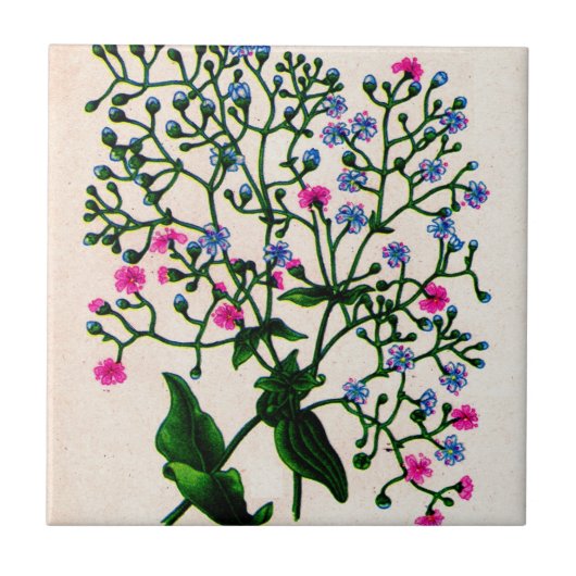 Babyatemophia Fliese (Vorderseite)