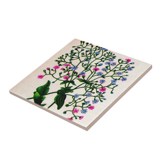 Babyatemophia Fliese (Seite)