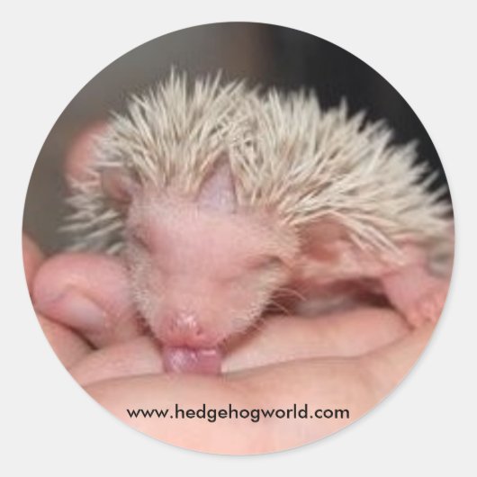 Babyaufkleber Runder Aufkleber (Vorderseite)