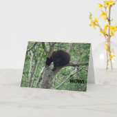 Babybärn-Geburtstagskarte Karte (Gelbe Blume)