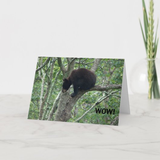 Babybärn-Geburtstagskarte Karte (Vorderseite)