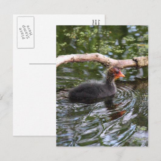 Babybett Postkarte (Vorne/Hinten)