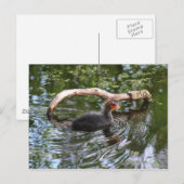 Babybett Postkarte (Vorne/Hinten)