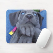 Babyblau weimeraner mousepad (Mit Mouse)