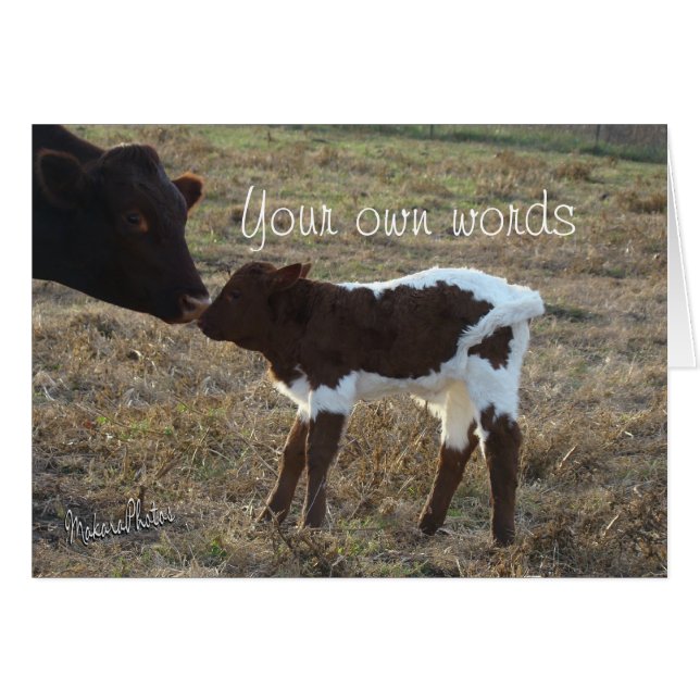 BabyBliss-irgendein Gelegenheit-fertigen Sie (Vorderseite (Horizontal))