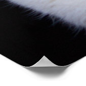 BabyBlues Poster (Ecke)