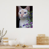 BabyBlues Poster (Küche)