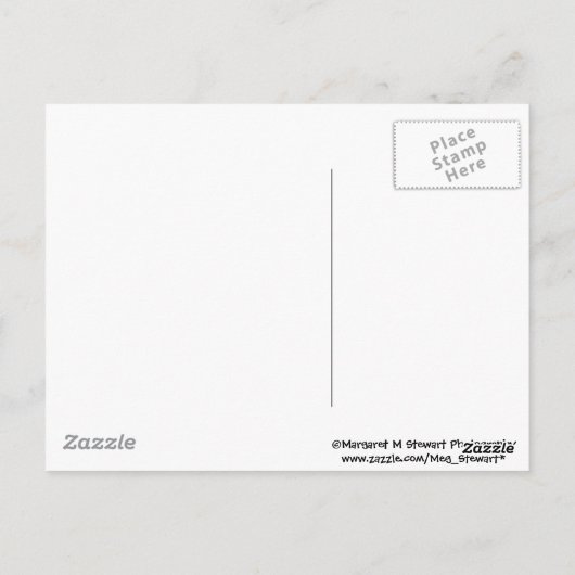 Babychipmunk mit Erdbeere Postkarte (Rückseite)