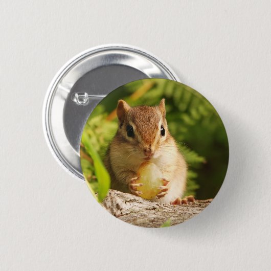 BabyChipmunk mit Imbiss Button (Vorne & Hinten)