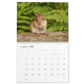BabyChipmunks 2016/2017 (16-monatiger Kalender) Kalender (Jan 2027)
