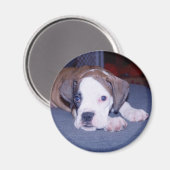 BabyChloe Magnet (Vorderseite/Rückseite)