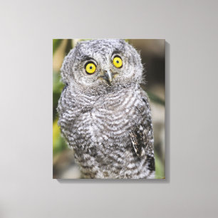 Babycreme Leinwanddruck