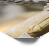 Babycreme Poster (Ecke)