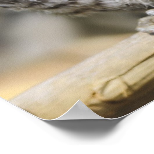 Babycreme Poster (Ecke)