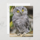 Babycreme Postkarte (Vorne/Hinten)