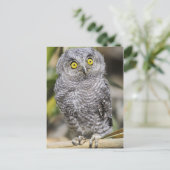 Babycreme Postkarte (Stehend Vorderseite)