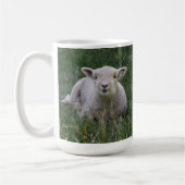 Babydoll Southdown Lambs Kaffeetasse (Links)