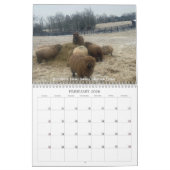 Babydoll Southdown Sheep 2022 NABSSAR-Kalender Kalender (Feb 2026)