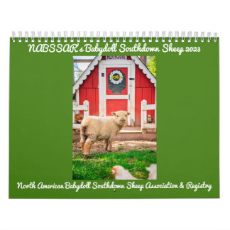 Babydoll Southdown Sheep 2023 NABSSAR-Kalender Kalender