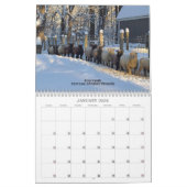 Babydoll Southdown Sheep 2024 NABSSAR-Kalender Kalender (Jan 2026)