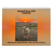 Babydoll Southdown Sheep 2026 NABSSAR Calendar Kalender (Titelbild)