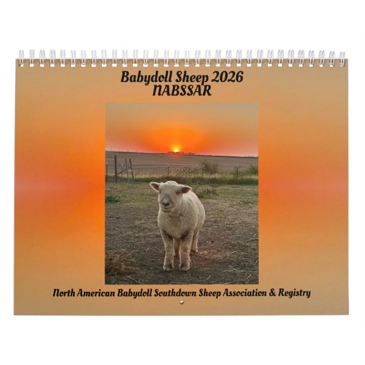 Babydoll Southdown Sheep 2026 NABSSAR Calendar Kalender (Titelbild)