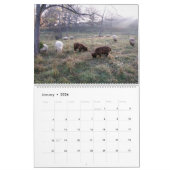 Babydoll Southdown Sheep Calendar Kalender (Jan 2026)