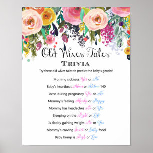 Babydusche Alte Ehefrauen zeigen Geschlechtervorau Poster