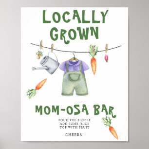 Babydusche aus der Region, Momosa Bar Poster
