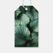 Babydusche bevorzugt tropische Blätter & Flamingo Geschenkanhänger (Rückseite)