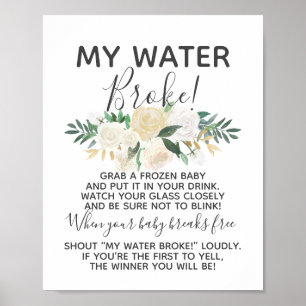 Babydusche Blume Mein Wasser-Broke-Spiel-Zeichen Poster