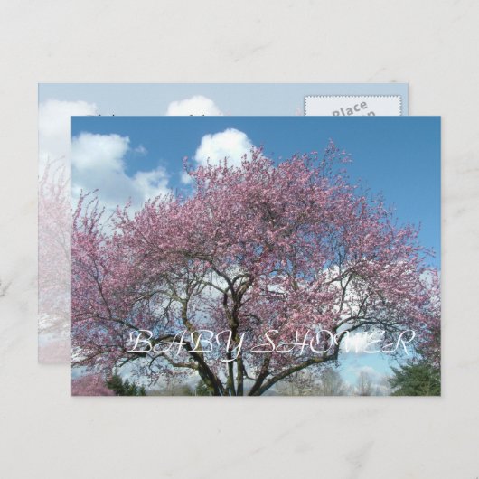 Babydusche, Frühlingskirschblüte Einladungspostkarte (Vorne/Hinten)