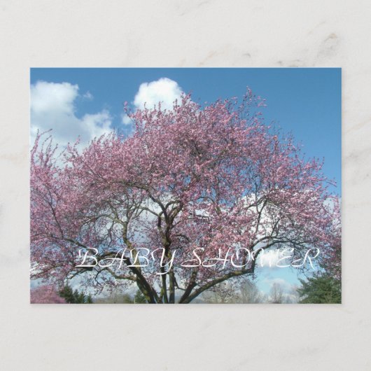 Babydusche, Frühlingskirschblüte Einladungspostkarte (Vorderseite)