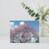 Babydusche, Frühlingskirschblüte Einladungspostkarte (Stehend Vorderseite)