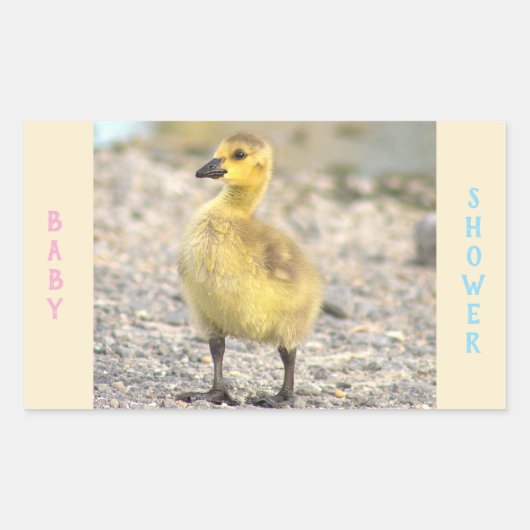 Babydusche Gosling Stickers (Vorderseite)