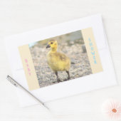 Babydusche Gosling Stickers (Umschlag)
