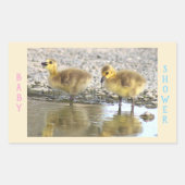 Babydusche Goslings Stickers (Vorderseite)