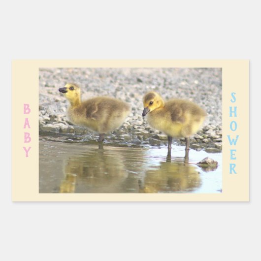 Babydusche Goslings Stickers (Vorderseite)