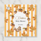 Babydusche mit Eichhörnchen Geschenkanhänger (Vorderseite)